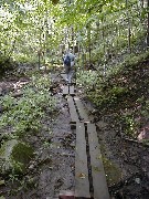 Ruth Bennett McDougal Dorrough; Hiking NCT NY Link Trail