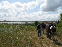 NCT; North Dakota; Great Karnak prairie