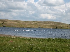 NCT; pelicans; North Dakota; Great Karnak prairie; Lake Ashtabula