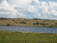 NCT; pelicans; North Dakota; Great Karnak prairie; Lake Ashtabula