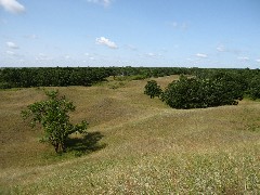 NCT; North Dakota; Grasslands prairie Hike