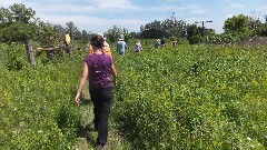 Dakota prairie Chapter Hike; NCT; Walcott; Colfax, ND