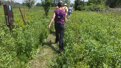 Dakota prairie Chapter Hike; NCT; Walcott; Colfax, ND