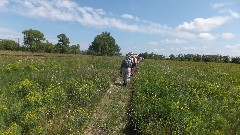 Dakota prairie Chapter Hike; NCT; Walcott; Colfax, ND