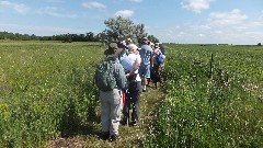 NCT; Ruth Bennett McDougal Dorrough; Dakota Prairie Hikers; NCT; Colfax, ND