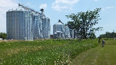 Ruth Bennett McDougal Dorrough; Grain elevators; NCT; Walcott, ND