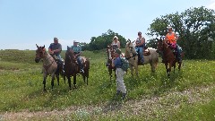 Ruth Bennett McDougal Dorrough; horses; NCT; McLeod, ND