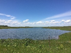 lake, Cole Harbor, ND