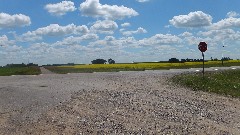 NCT; Canolla fields; Coleharbor, ND