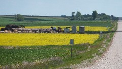 NCT; canolla fields; North Dakota