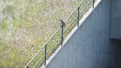 NCT; McCluskey Canal, ND