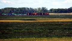 train; NCT; New Rockford Canal, ND