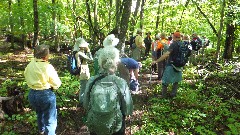 NCT; Tamarac Wildlife Refuge, MN