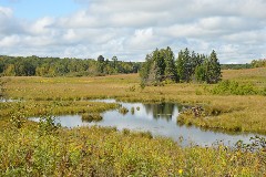 DSC_0077a JPG
