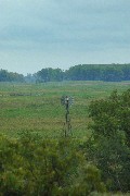 DSC_9624 JPG