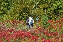 DSC_9632a jpg