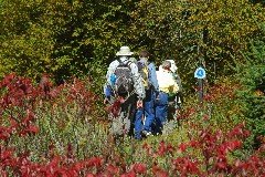 DSC_9634a jpg