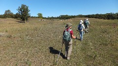 Ruth Bennett McDougal Dorrough; NCT; Jorgen Hollow Campground to Ekre Grasslands Preserve, ND