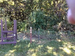 NCT; Fargo North Dakota; Celebration; Our Hike; NCT; Jorgens Hollow Campground -- Ekre Grassland Preserve, ND