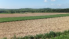 Hiking; NCT; Ohio; Beavercreek State Park Area