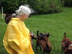 Ruth Bennett McDougal Dorrough; goats; NCT; Ohio; Buckeye Trail; Stockport; BT