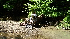 Ruth Bennett McDougal Dorrough; NCT; Buckeye Trail; Stone Church Trail Head; BT