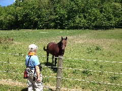 NCT; Ohio; Buckeye Trail; Old Mans Cave; BT