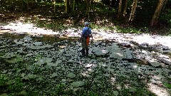 Ruth Bennett McDougal Dorrough; NCT; Buckeye Trail; East Fork State Park; Williamsburg; BT