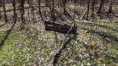 Old boat; NCT; Ohio; Eastern Lakes; Clendening Lake; BT