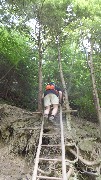 ladder in the trail; Hiking; NCT; Beaver Creek State Park Ohio 12021