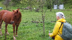 horse; Ruth Bennett McDougal Dorrough; NCT; Ohio; Wilderness Loop; BT