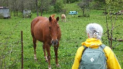 horse; Ruth Bennett McDougal Dorrough; NCT; Ohio; Wilderness Loop; BT