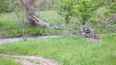 broken down bridge; NCT; Ohio; Wilderness Loop; BT