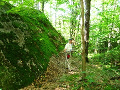 Ruth Bennett McDougal Dorrough; big rocks; Hiking; NCT; Pennsylvania; PA-01