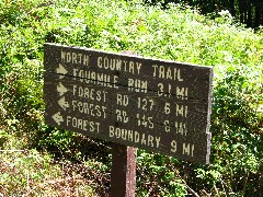 sign; fourmile run; forest road 127; forest road 145; Hiking; NCT; Pennsylvania; PA-01