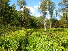 Hiking; NCT; Pennsylvania; PA-01