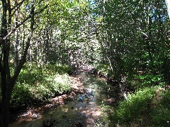 Kane Hiking NCT Pennsylvania PA-01