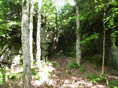 Kane Hiking NCT Pennsylvania PA-01