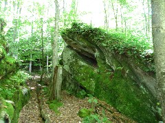 Kane Hiking NCT Pennsylvania PA-01