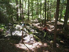 Ruth Bennett McDougal Dorrough; Lyn Jacobs; Kane Hiking NCT Pennsylvania PA-01