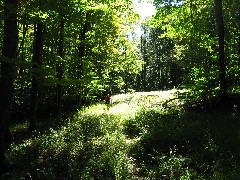 Lyn Jacobs; Kane Hiking NCT Pennsylvania PA-01