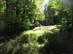 Kane Hiking NCT Pennsylvania PA-01