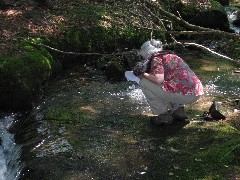 Ruth Bennett McDougal Dorrough; PA-01 PA NCT Hiking