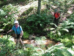 Ruth Bennett McDougal Dorrough; Lyn Jacobs; PA-01 PA NCT Hiking