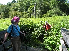 Ruth Bennett McDougal Dorrough; Lyn Jacobs; PA NCT Hiking