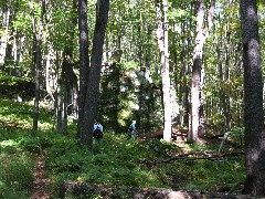 Lyn Jacobs; Ruth Bennett McDougal Dorrough; big rockes; PA-01 Pennsylvania NCT Hiking