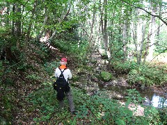 Lyn Jacobs; PA-01 Pennsylvania NCT Hiking