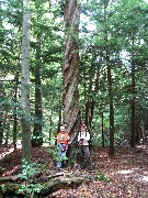 The Twisted Sisters ; PA-01 Pennsylvania NCT Hiking; rotated