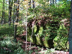 big rocks; PA-01 Pennsylvania NCT Hiking