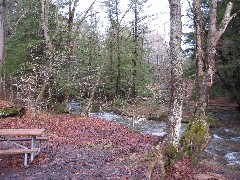 Campground at Minister Creek